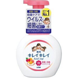 LION Anti-Bacterial Foaming Hand Soap Fruit Fiesta 250ml