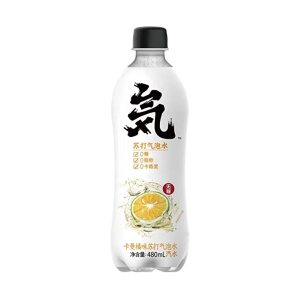Genki Forest Soda Drinks (Orange Flavor) 480ml