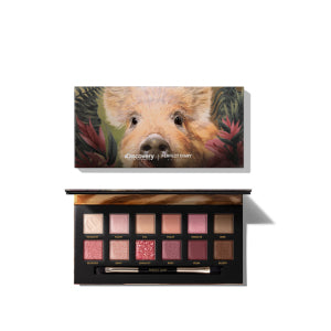 Perfect Diary 12 Color Eyeshadow palette (pig)